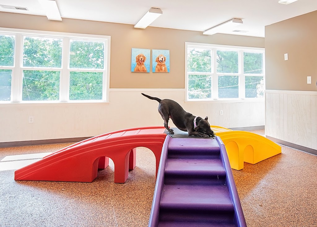 Dogphorias Pampered Pets | 4225 Union Hill Rd, Canton, GA 30115, USA | Phone: (770) 248-0321