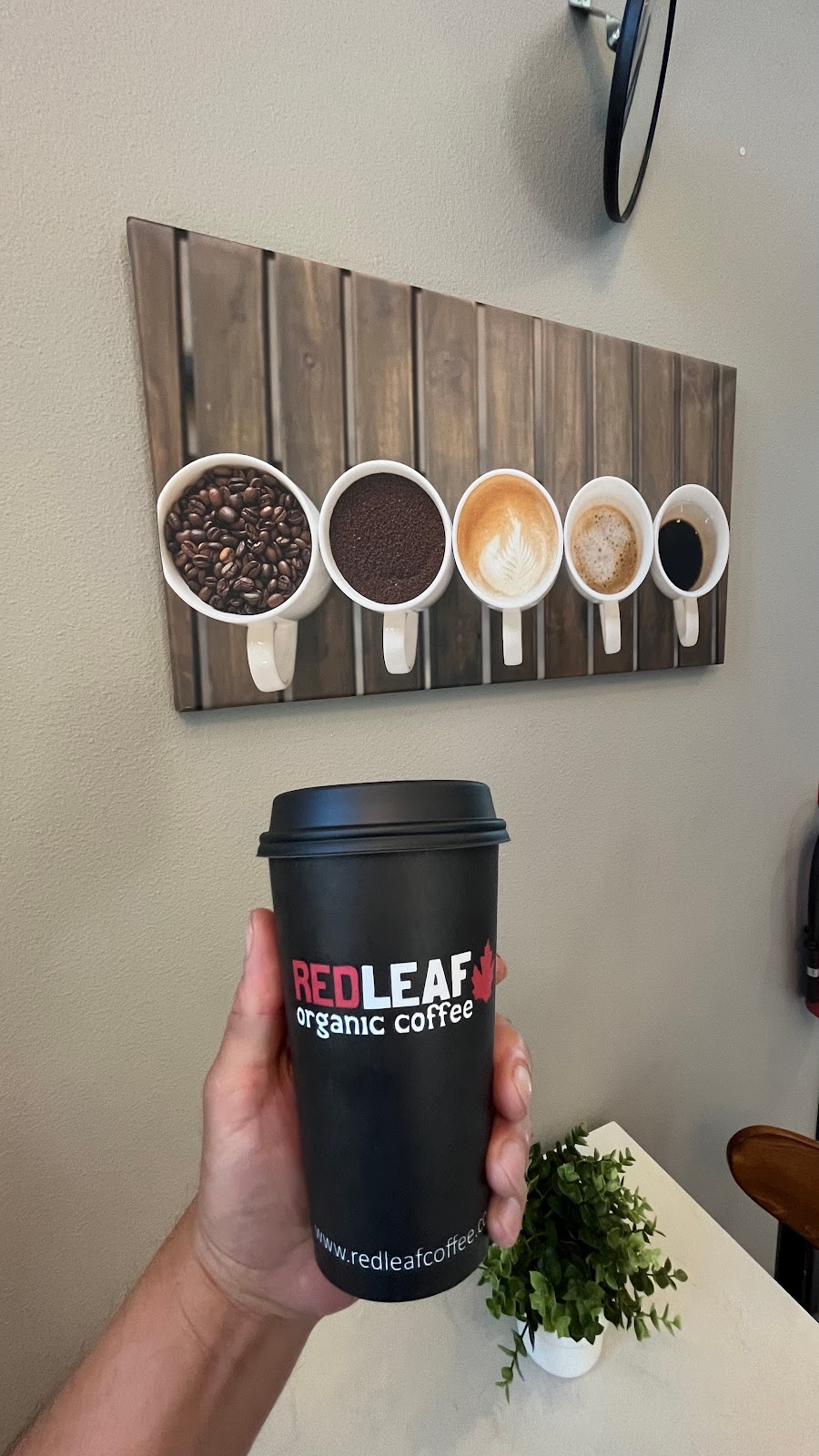 Red Leaf Organic Coffee | Woodland, WA 98674, USA | Phone: (360) 841-0162