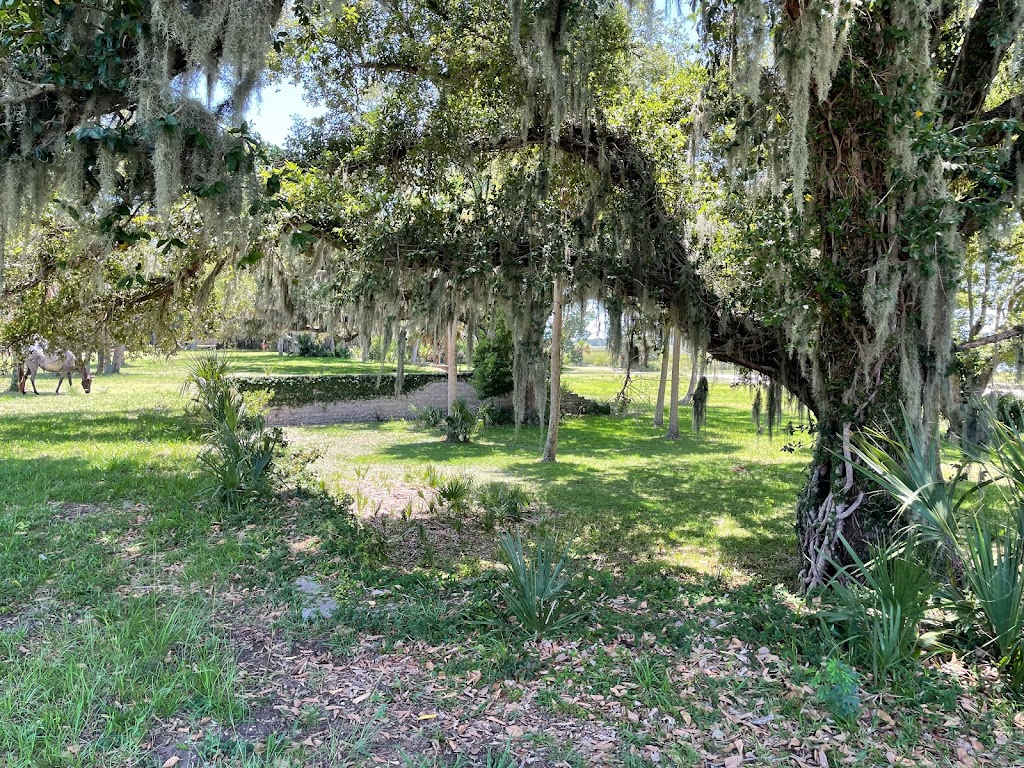 Dungeness Ruins | St Marys, GA 31558, USA | Phone: (912) 882-4336