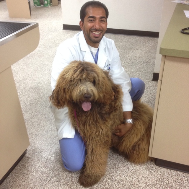 Prestige Animal Hospital - South Fontana | 10986 Sierra Ave, Fontana, CA 92337, USA | Phone: (909) 357-7300