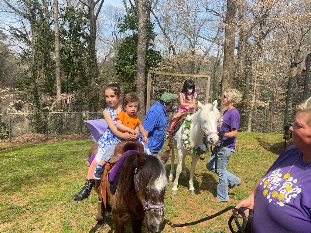 Pony Pals Party Ponies | 4999 Hunter Rd, Ashland City, TN 37015, USA | Phone: (270) 498-1614