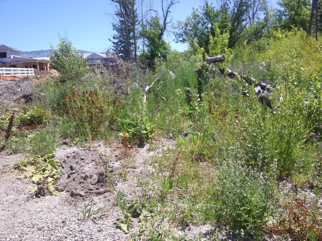 Dry Creek Ranch Subdivision | 9145 W Suttle Lake Dr, Boise, ID 83714, USA | Phone: (208) 608-2702