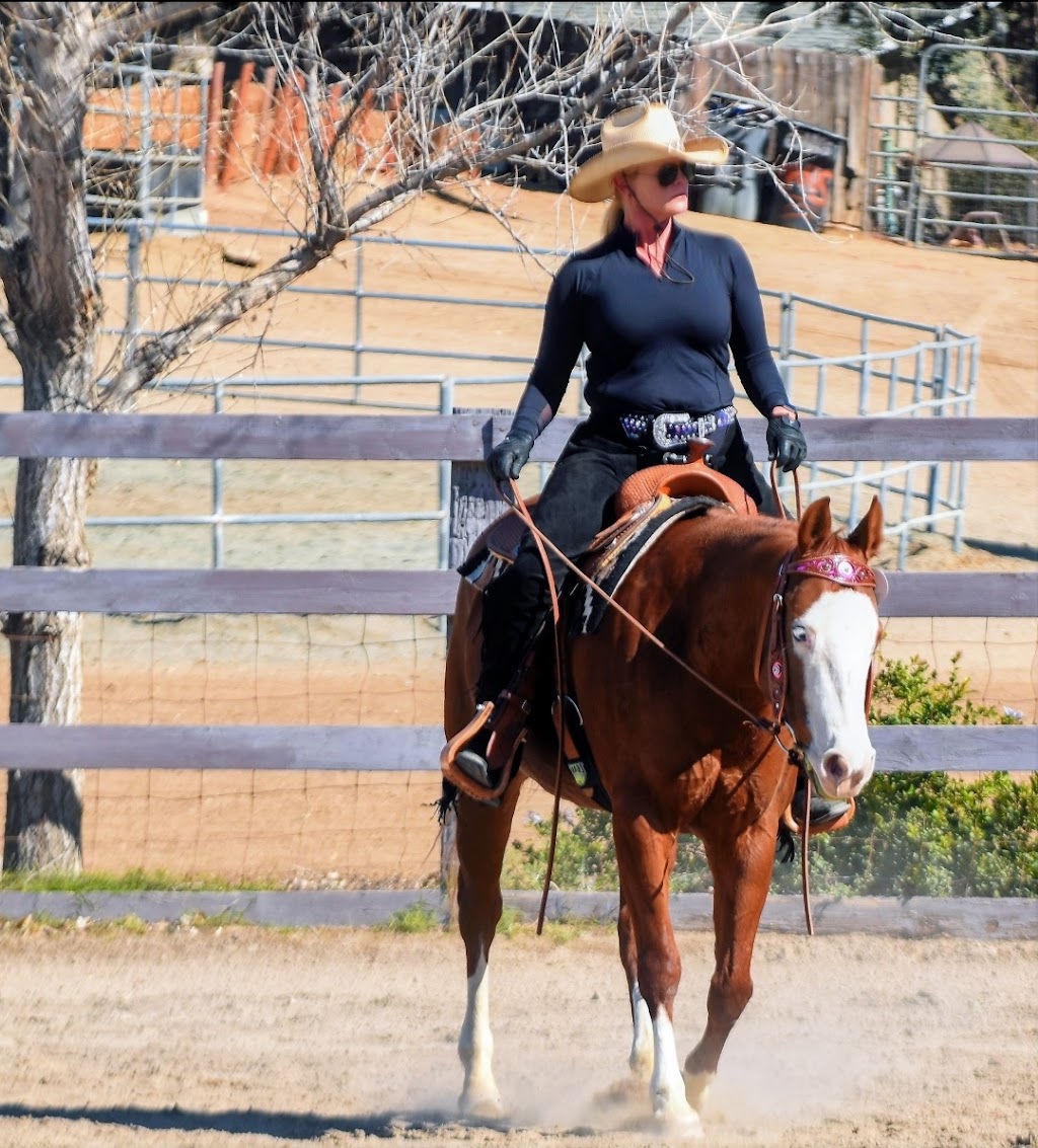 Horse Boarding & Training Murrieta | 43475 Tenaja Rd, Murrieta, CA 92562, USA | Phone: (951) 288-0521