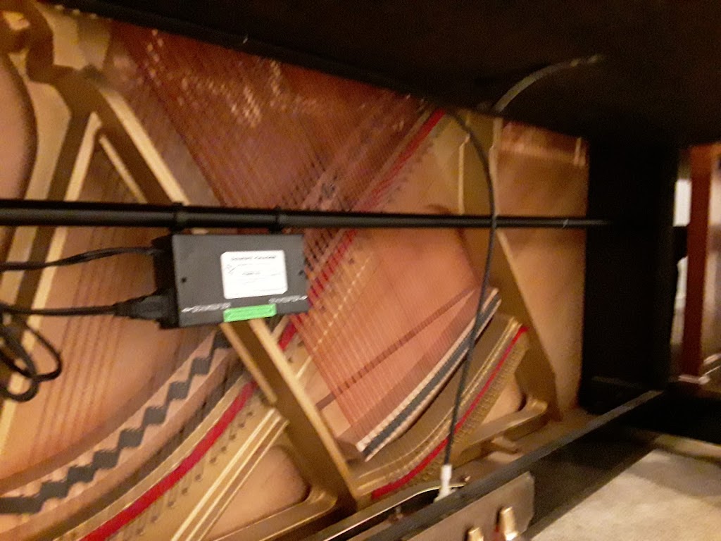 Island Music Guild | 10598 NE Valley Rd, Bainbridge Island, WA 98110, USA | Phone: (206) 780-6911