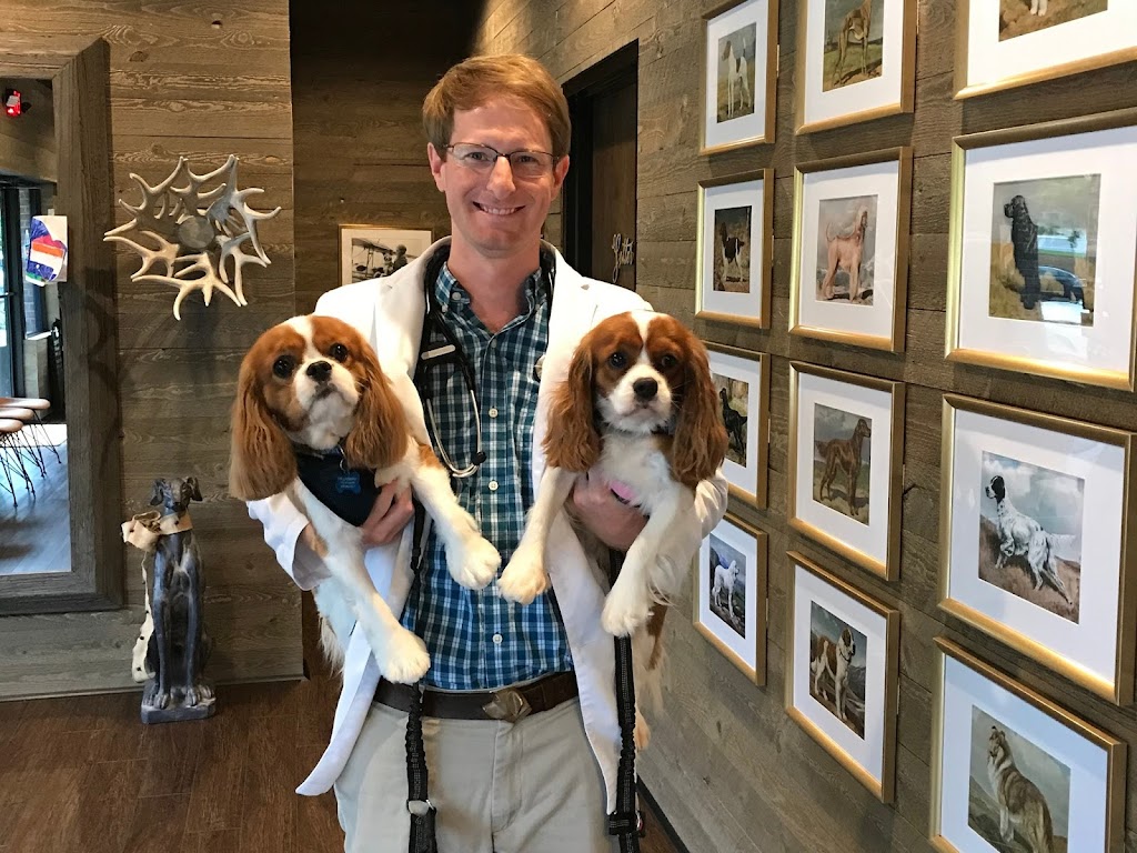 Good Dog Veterinary Care | 3894 Due W Rd NW Suite 250, Marietta, GA 30064, USA | Phone: (770) 450-4555