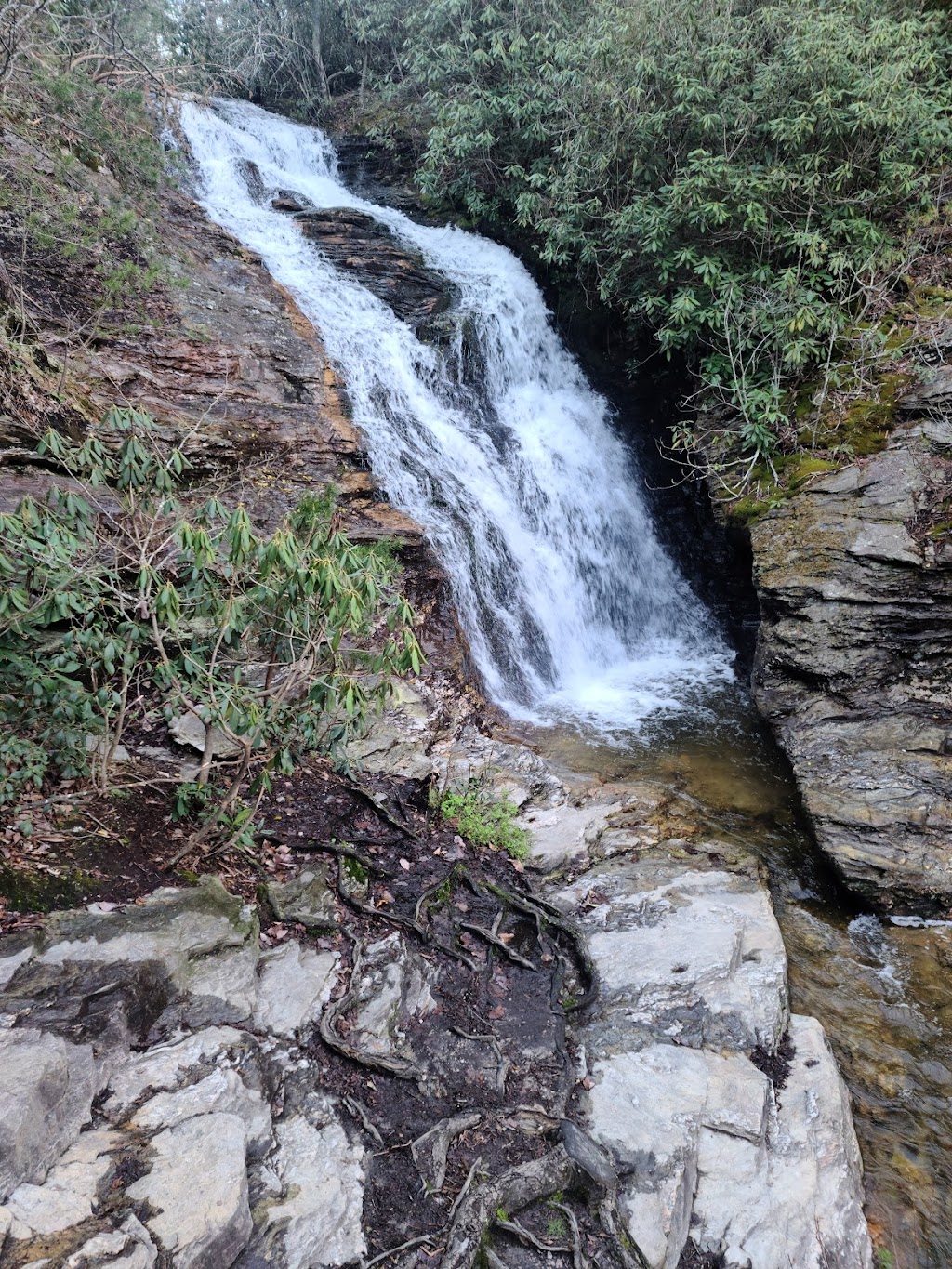 Hanging Rock State Park | 1790 Hanging Rock Park Rd, Danbury, NC 27016, USA | Phone: (336) 593-8480