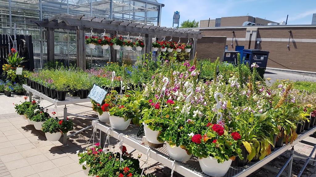 Niagara College Greenhouse Nursery | 135 Taylor Rd, Niagara Falls, ON L0S 1J0, Canada | Phone: (905) 641-2252 ext. 4082