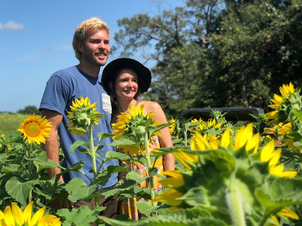 Kersey Valley Sunflower Extravaganza | 6820 Cecil Farm Rd, Archdale, NC 27263, USA | Phone: (336) 431-1700