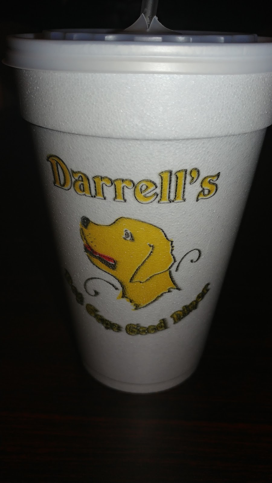 Darrell’s Diner | 2237 W C 48, Bushnell, FL 33513, USA | Phone: (352) 444-2318