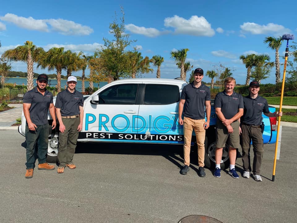 Prodigy Pest Solutions | 1661 W University Pkwy Unit A, Sarasota, FL 34243, USA | Phone: (941) 225-4010