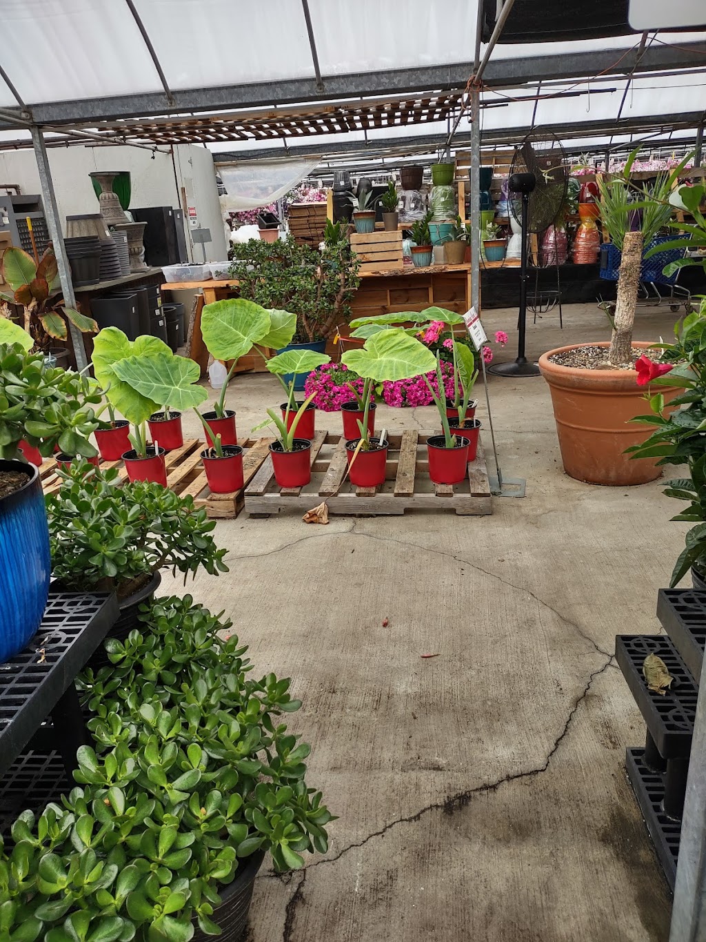 Blooming Acres Inc. | 7561 State Rd, Wadsworth, OH 44281, USA | Phone: (330) 336-1410