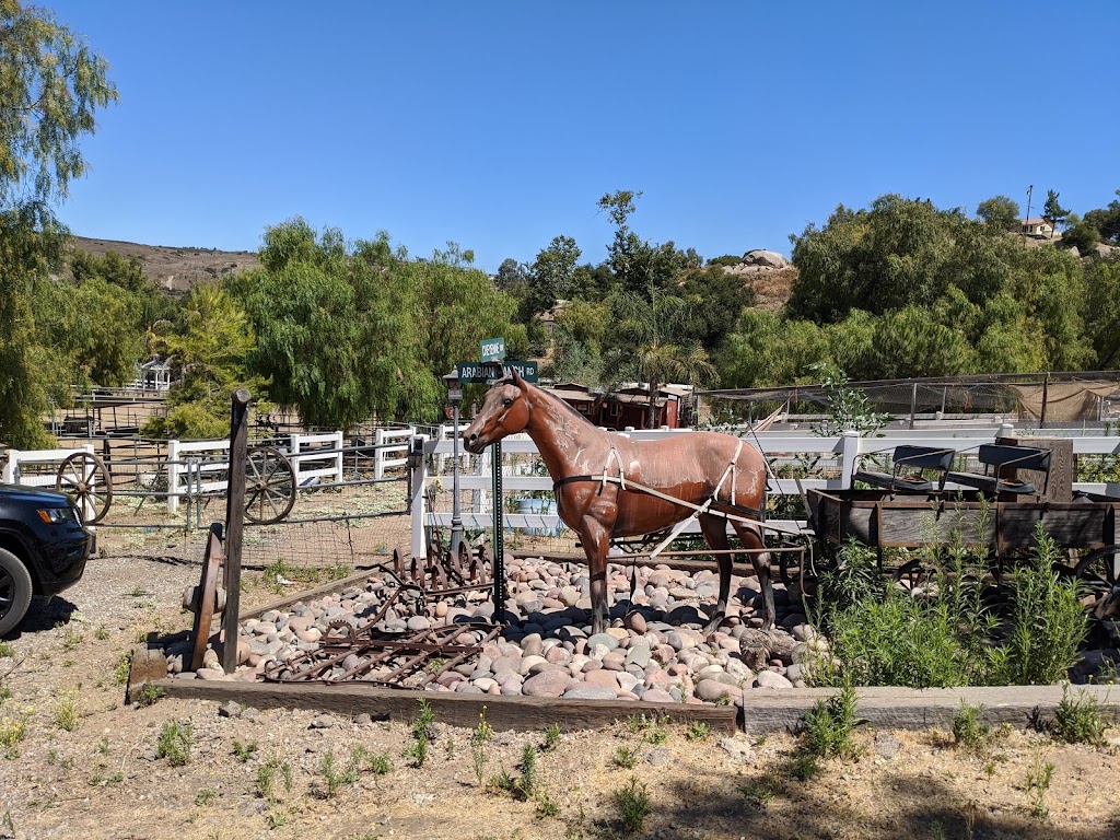Cheyenne Arabians Pony Rides & Petting Zoo | 1927 Orange Ave, Ramona, CA 92065, USA | Phone: (760) 788-3780