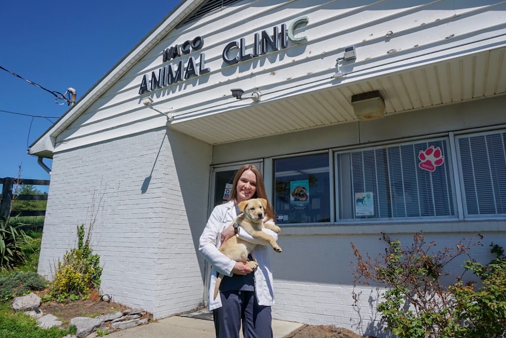 Waco Animal Hospital | 191 Waco Loop Rd, Waco, KY 40385, USA | Phone: (859) 369-5678