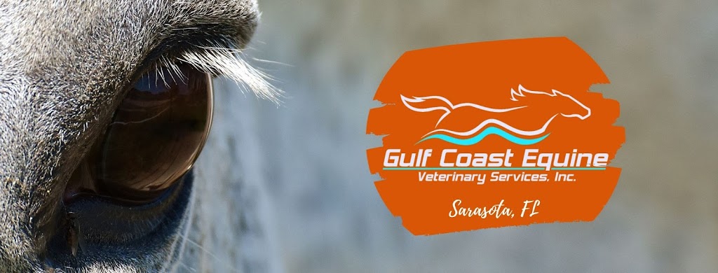 Gulf Coast Equine Veterinary Services, Inc. | 7248 Frisco Ln, Sarasota, FL 34241, USA | Phone: (941) 266-1356