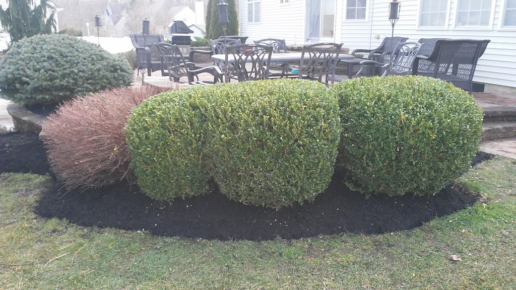 A&R Landscaping LLC | 1 Stockton Ave, Jamesburg, NJ 08831, USA | Phone: (732) 309-3253