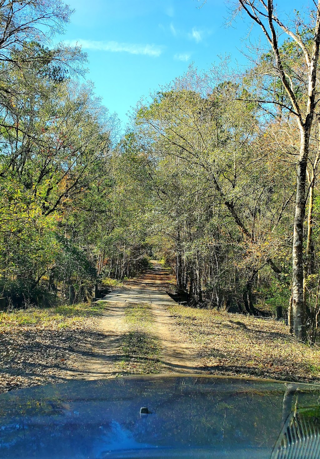 Belmore Wildlife Management Area | Green Cove Springs, FL 32043, USA | Phone: (904) 529-2357