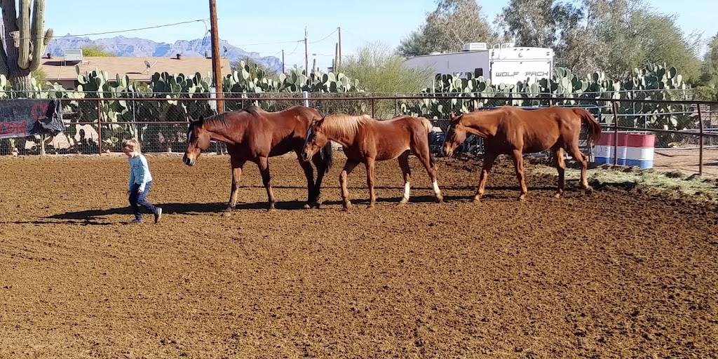 AzTrailRiding.com | 731 N 102nd Pl, Mesa, AZ 85207 | Phone: (602) 312-6713