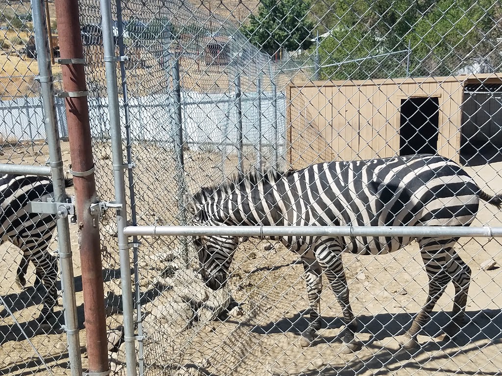 Sierra Nevada Zoological Park | 10200 N Virginia St, Reno, NV 89506, USA | Phone: (775) 677-1101