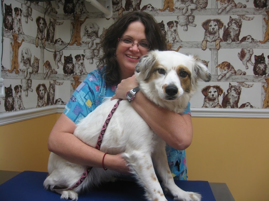 Westside Animal Clinic | 3501 Commercial Way, Spring Hill, FL 34606, USA | Phone: (352) 683-1512