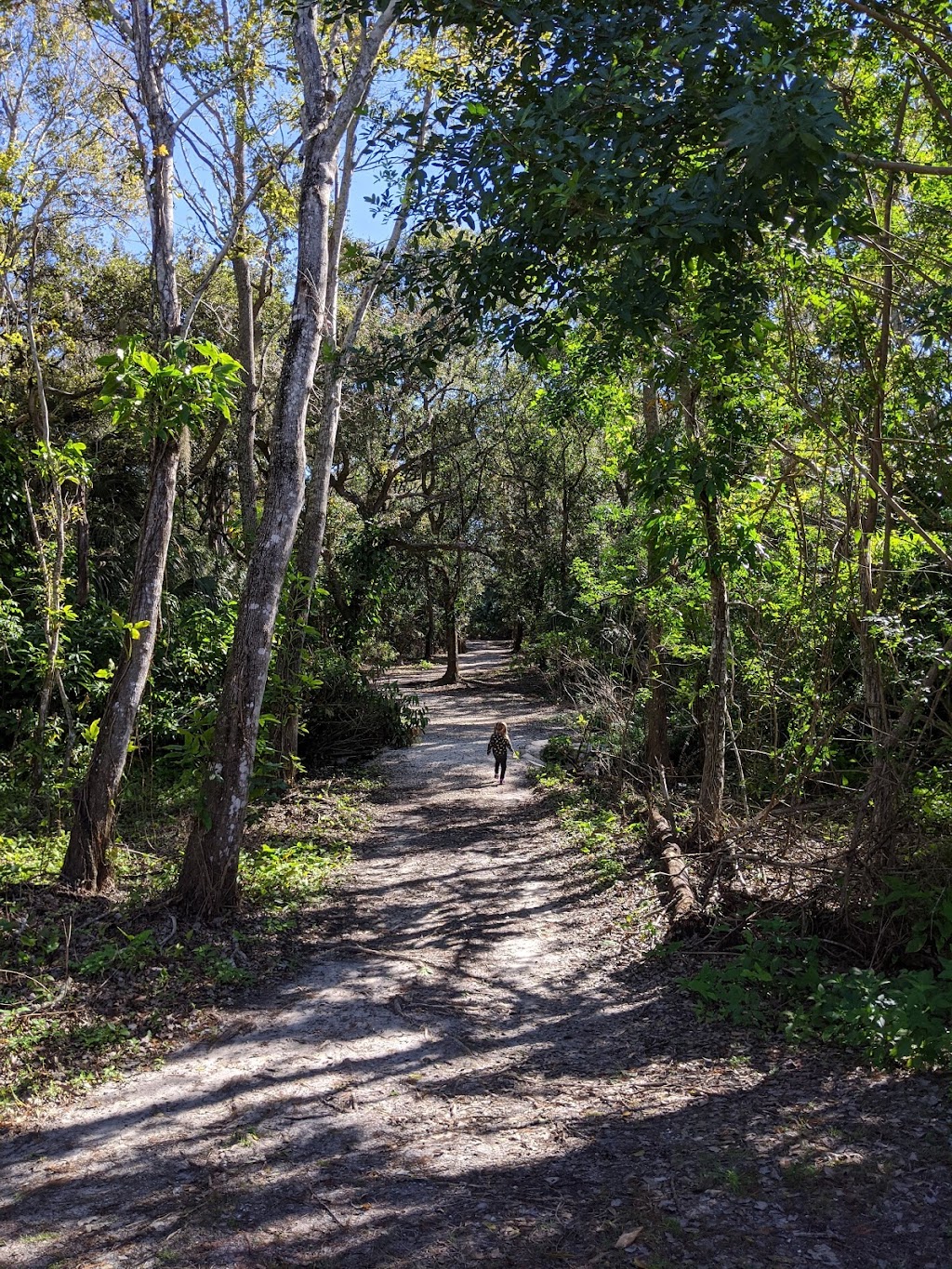 United States Postal Service | 2655 Millersport Hwy, Getzville, NY 14068, USA | Phone: (800) 275-8777