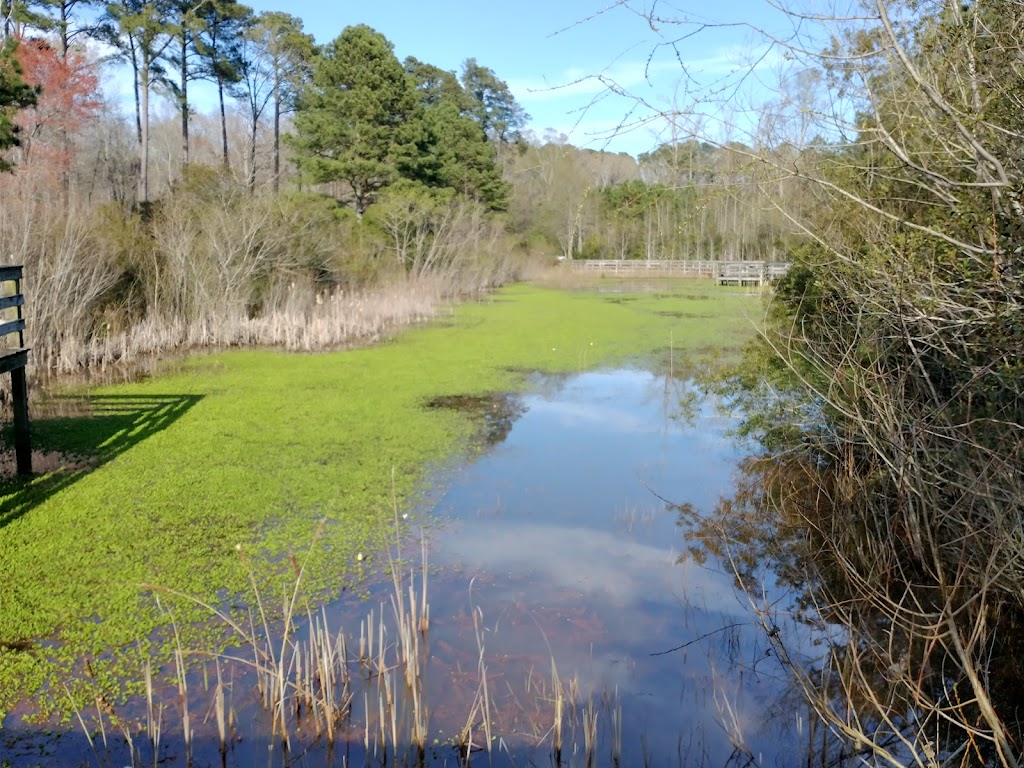 Cape Charles Natural Area Preserve | Cape Charles, VA 23310, USA | Phone: (757) 787-5576