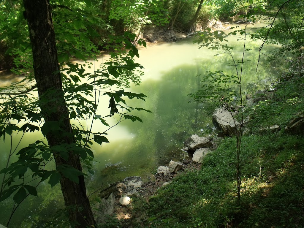 Bear Claw Treehouse | 6621 AL-23, Springville, AL 35146, USA | Phone: (205) 960-8215