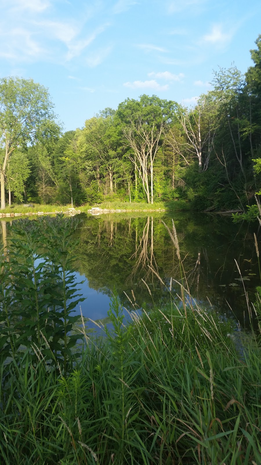 Avon Nature Area | 1115 W Avon Rd, Rochester Hills, MI 48309, USA | Phone: (248) 656-4775