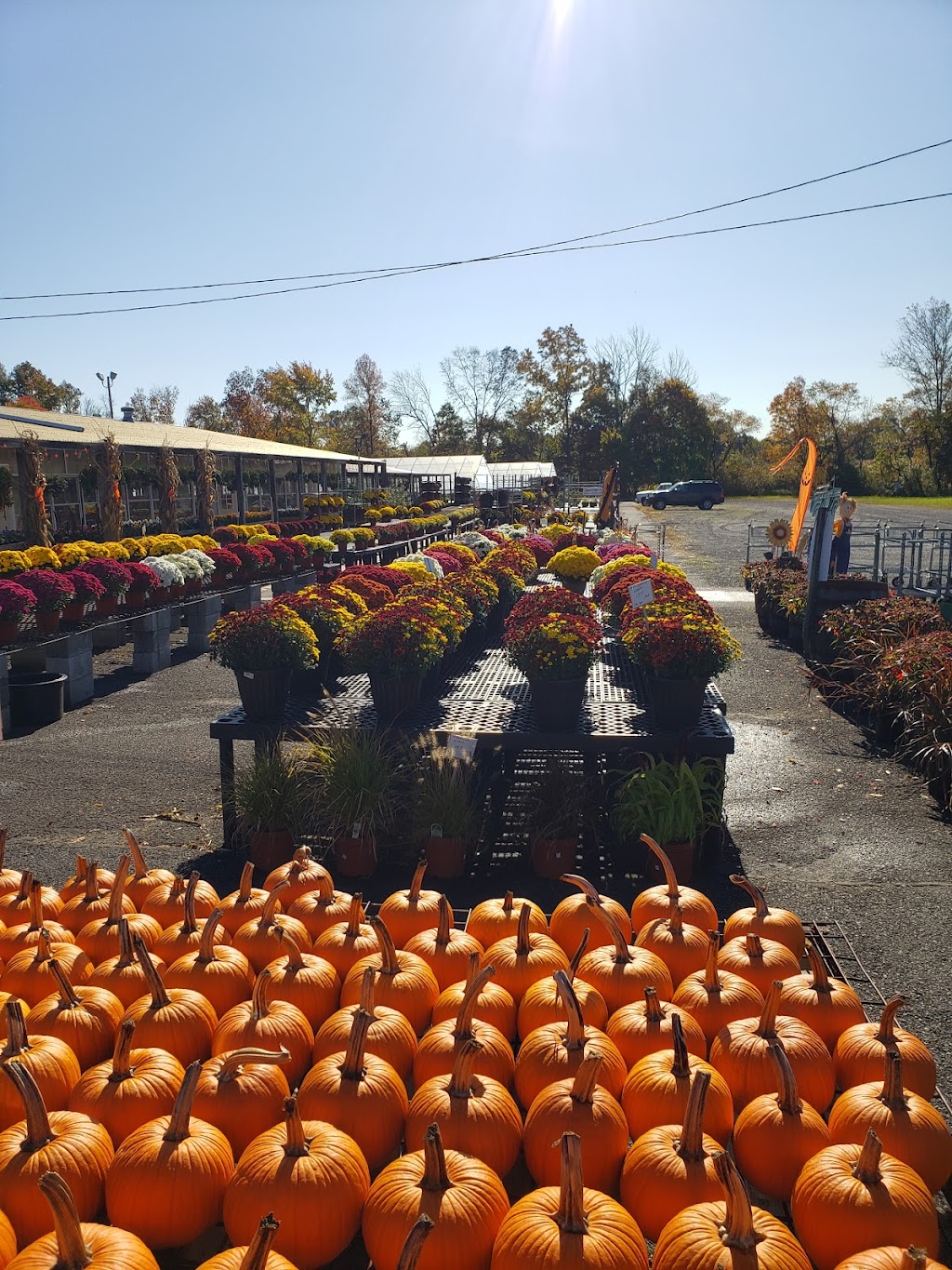 Tonys Farm & Garden Center | 1369 US-130, Windsor, NJ 08561, USA | Phone: (609) 448-0667