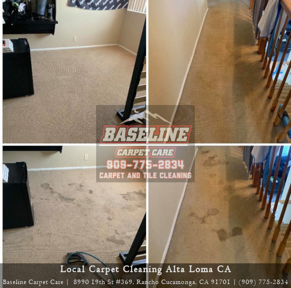 Baseline Carpet Care | 8990 19th St #369, Rancho Cucamonga, CA 91701, USA | Phone: (909) 775-2834