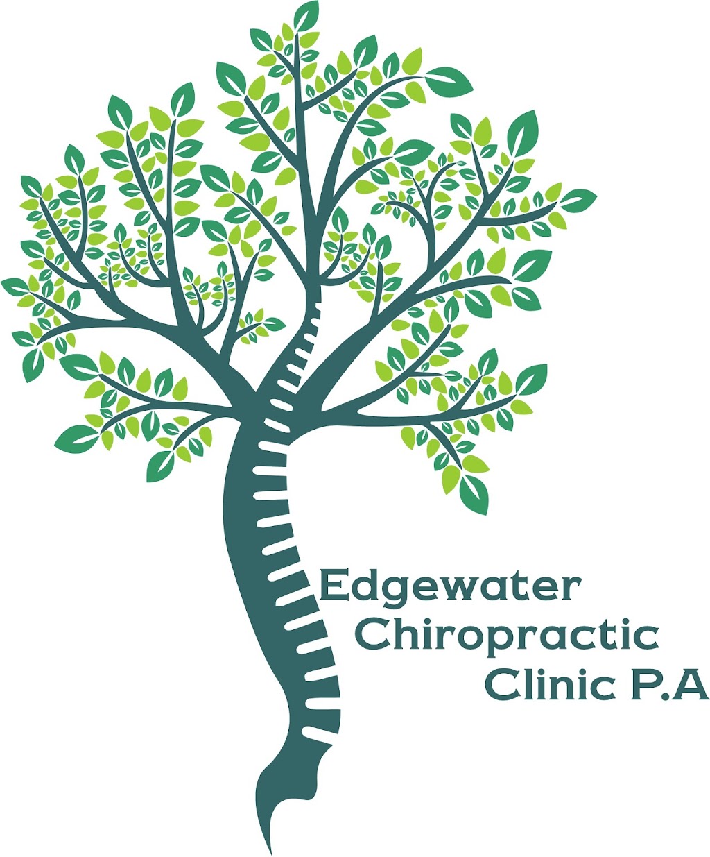 Edgewater Chiropractic Clinic, PA | 201 S Ridgewood Ave STE 11, Edgewater, FL 32132, USA | Phone: (386) 423-7575