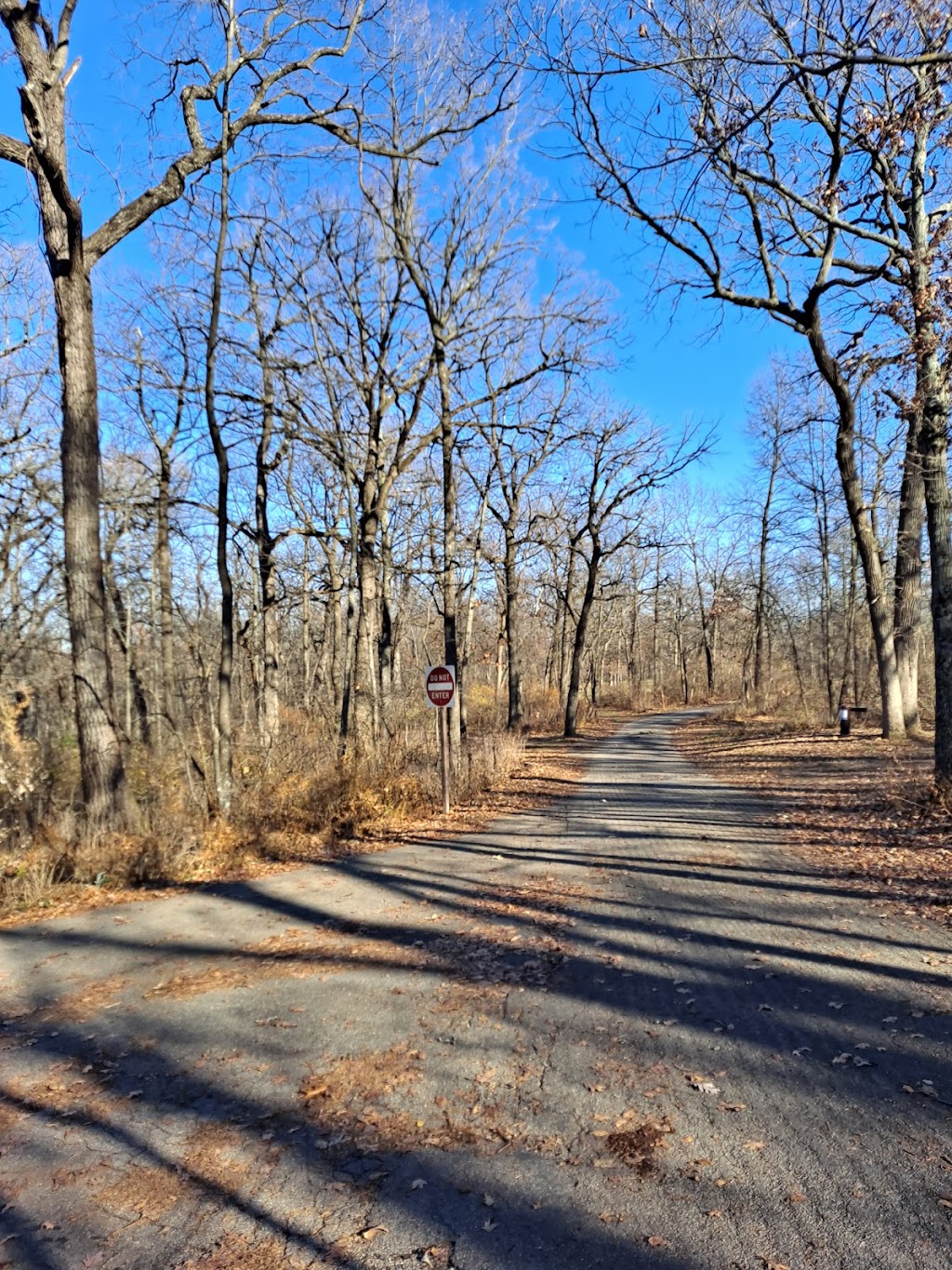 New Glarus Woods State Park | W5446 County Highway Nn, New Glarus, WI 53574, USA | Phone: (608) 527-2335