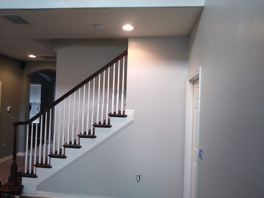 Painters of Tampa | 4015 Bayshore Blvd #6d, Tampa, FL 33611, USA | Phone: (813) 819-0668