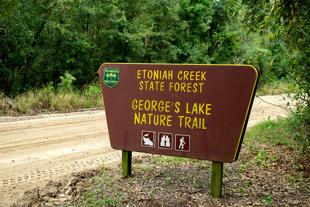 Georges Lake Nature Trail - Etoniah Creek State Forest | Florahome, FL 32140 | Phone: (386) 329-2552