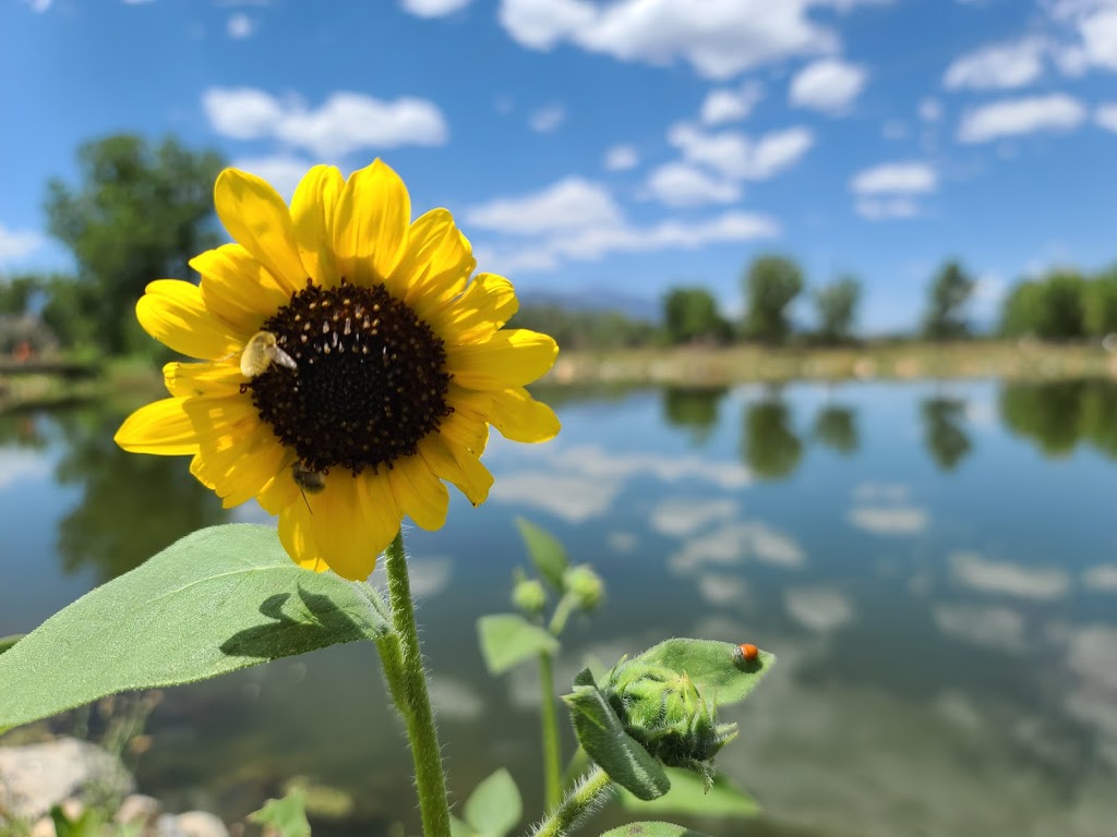 Fountain Creek Regional Park | 2010 Duckwood Rd, Fountain, CO 80817, USA | Phone: (719) 520-7529