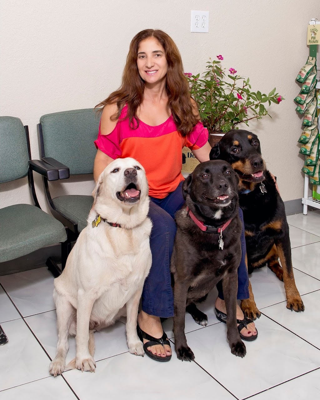 ParkView Animal Hospital | 3720 54th Ave N, St. Petersburg, FL 33714, USA | Phone: (727) 526-3137