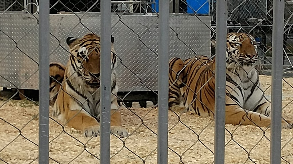 Altamont Fair | New York 146 &, Arlington St, Guilderland, NY 12009, USA | Phone: (518) 861-6671