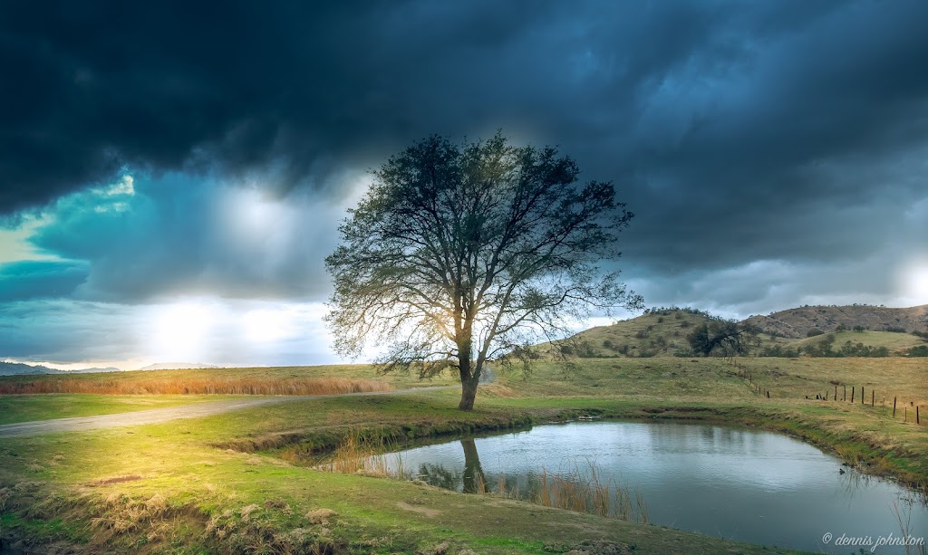 The Sierra Gallery & Boutique | 35569 CA-190, Springville, CA 93265, USA | Phone: (559) 783-4011