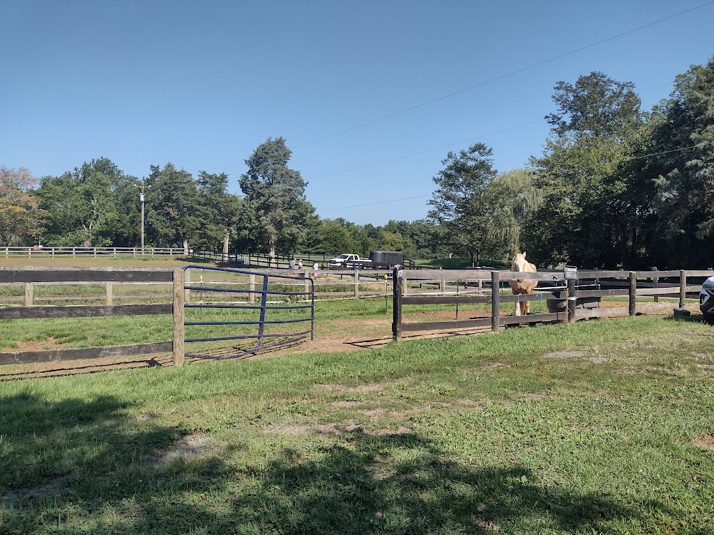 Nicole’s Riding Lessons | Historic District, 10955 Poplar Ford Trail, Manassas, VA 20109, USA | Phone: (703) 618-2485