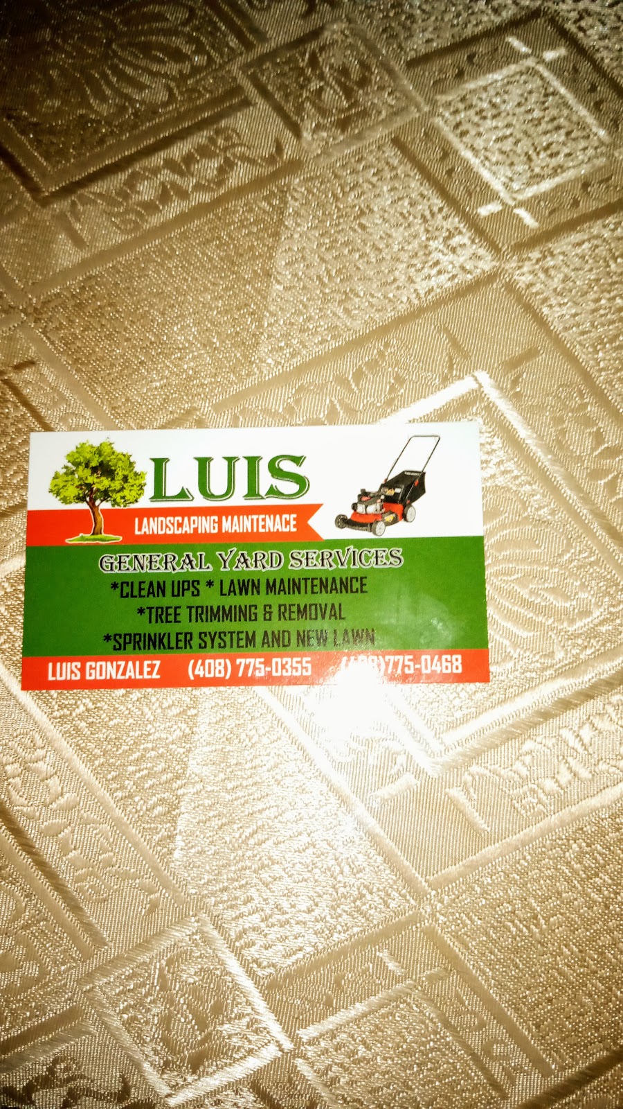 Luis Landscaping Maintenace | 1399 Tami Lee Dr, San Jose, CA 95122, USA | Phone: (408) 775-0355