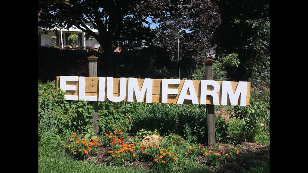 Elium Farm | 2085 Lake Rd, Salisbury, NC 28146, USA | Phone: (704) 636-2459