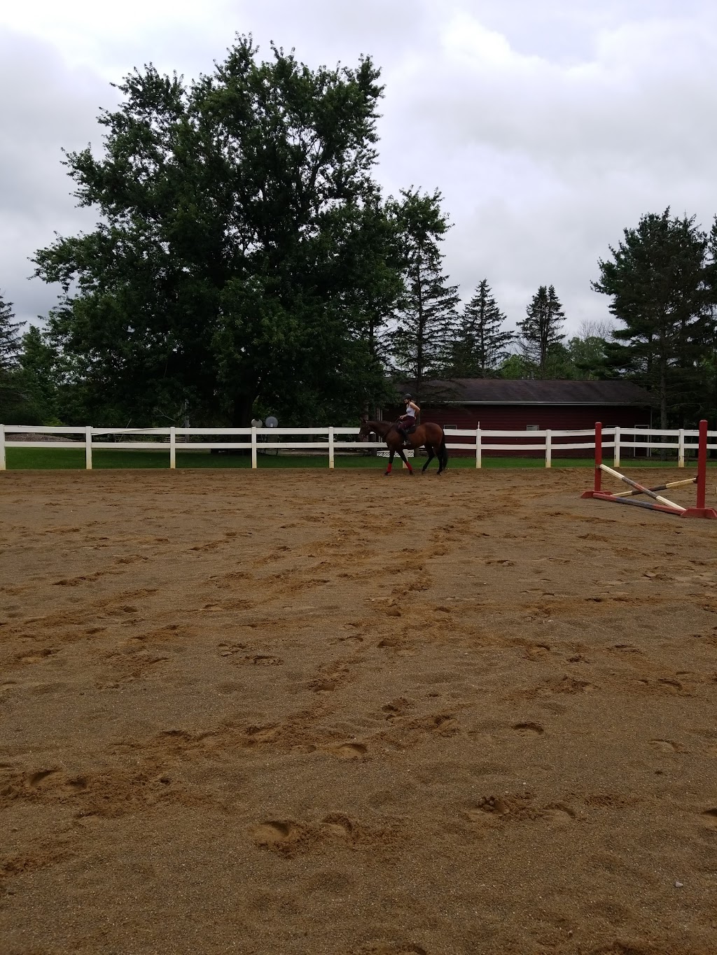 River Road Horse Farm | 1009 River Rd, Hinckley, OH 44233, USA | Phone: (330) 278-2080