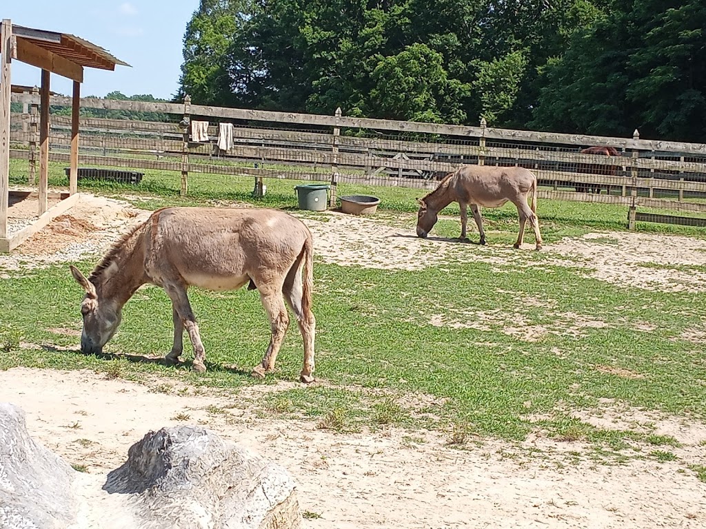 Chippokes Farm and Forestry Museum | 868 Plantation Rd, Surry, VA 23883, USA | Phone: (757) 294-3439