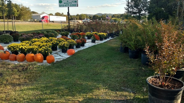 Williams Nursery | 8768 Shelbyville Pike, Bell Buckle, TN 37020, USA | Phone: (615) 477-5302