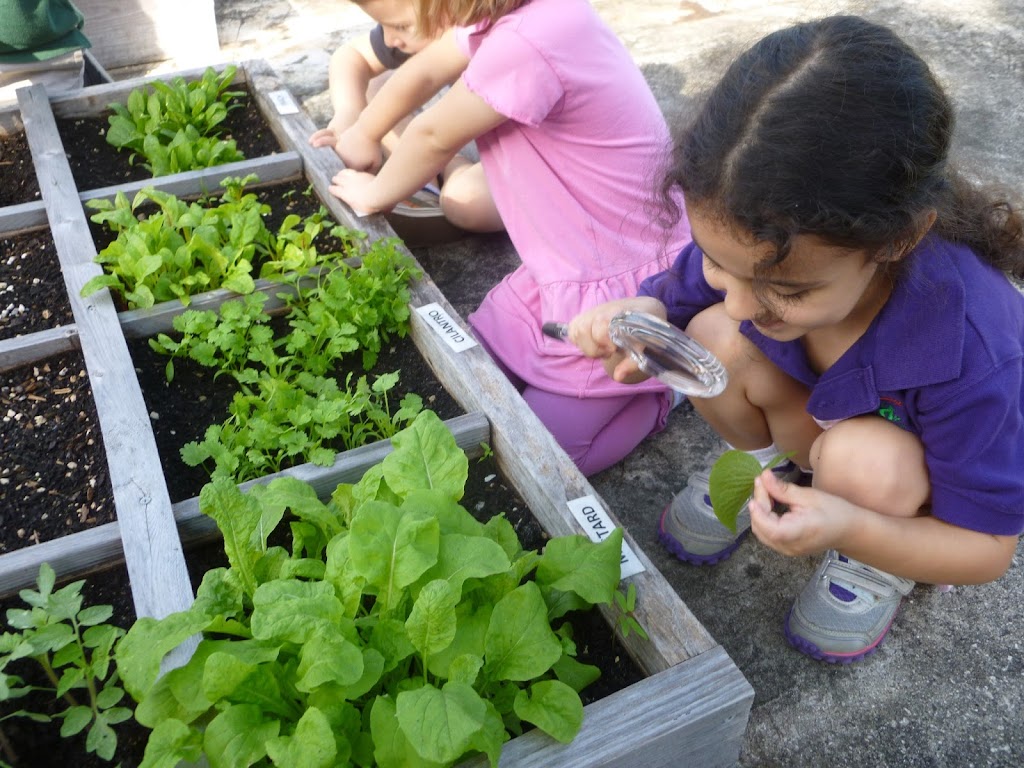 Green Childrens House Montessori Preschool | 307 NE 1st St, Pompano Beach, FL 33060, USA | Phone: (954) 946-7215