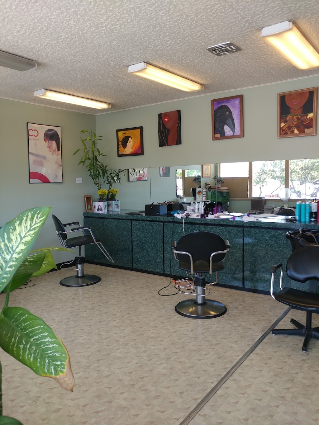 Daysis Salon | 9455 35th Ave SW, Seattle, WA 98126, USA | Phone: (206) 932-8851