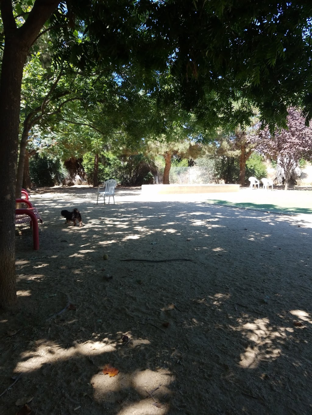 Miyuki Dog Park | San Jose, CA 95119, USA | Phone: (408) 535-3570