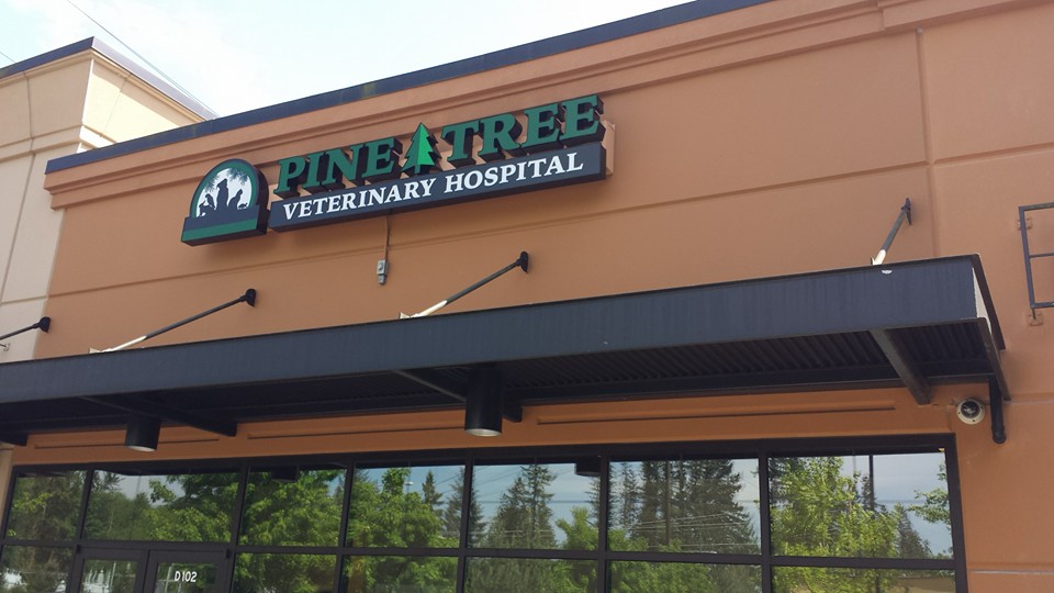Pine Tree Veterinary Hospital | 27539 Maple Valley Black Diamond Rd SE D102, Maple Valley, WA 98038, USA | Phone: (425) 432-2222