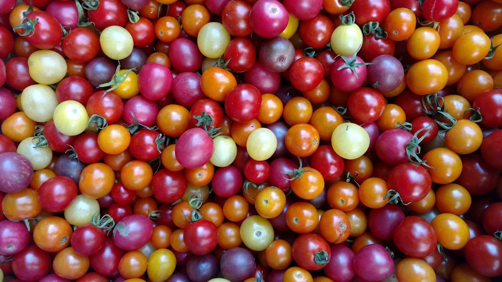 Clifton Park Farmers Market | Shenendehowa Methodist Church parking lot 971 Route 146, Clifton Park, NY 12065, USA | Phone: (518) 257-2681