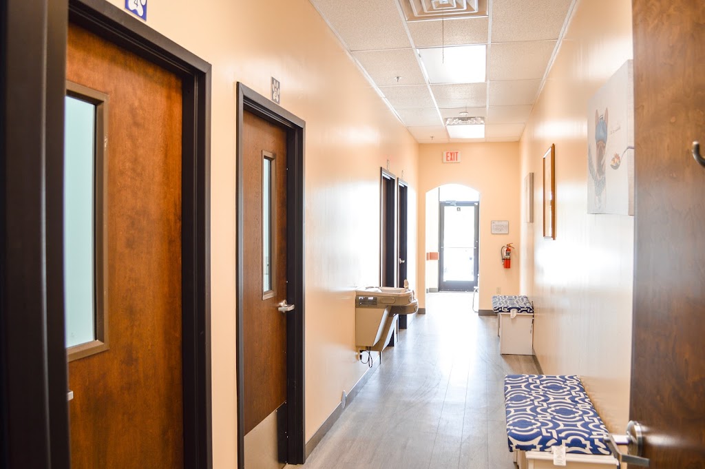 Forever Vets Animal Hospital of Murabella Parkway | 74 Capulet Dr Suite 204, St. Augustine, FL 32092, USA | Phone: (904) 679-3432