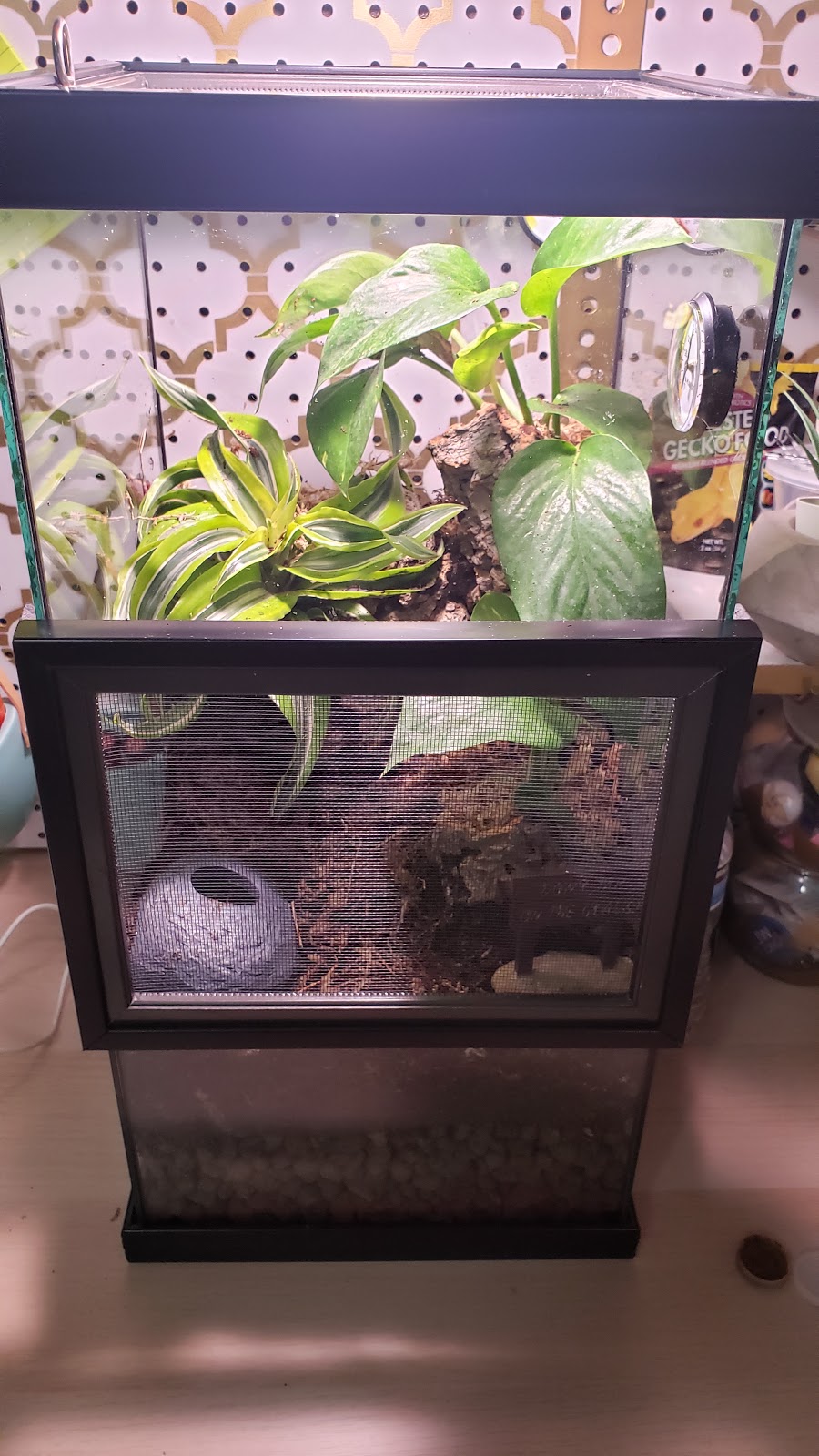 La Habra Exotic Pets | 1919 W La Habra Blvd, La Habra, CA 90631, USA | Phone: (562) 697-7110